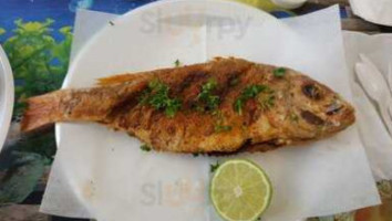 Red Sea Fish food