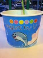 Yogurt By U food