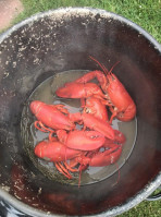 Sams Live Lobster food
