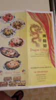 Dragon Village Chinese food