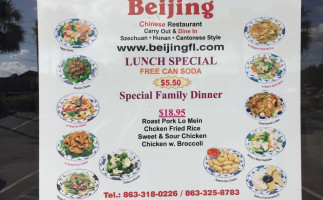 Beijing Chinese Delivery In Winter Haven,fl food