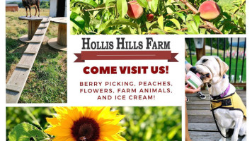 Hollis Hills Farm outside