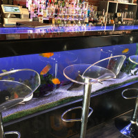 A'lure Aquarium Bar/restaurant food