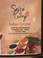 Spice N Curry food