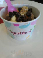 Yogurtland food