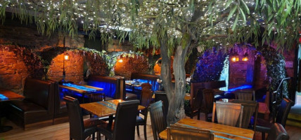 Enchanted Forest Dining Experience inside