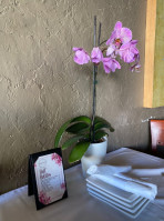 Orchid Thai Cuisine food