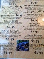 Iguana Azul food