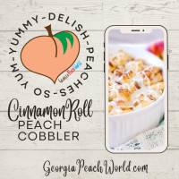 Georgia Peach World South Bound food