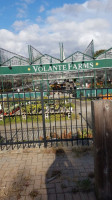 Volante Farms food