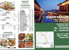 Ocean Dragon Chinese food
