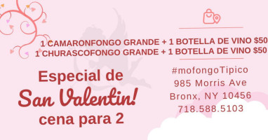 Mofongo El Mocano Nyc food