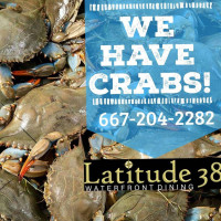 Latitude 38 Annapolis food