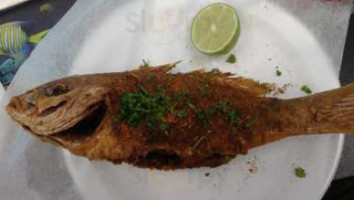 Red Sea Fish food
