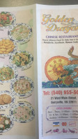 Golden Dragon Chinese food