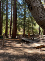 Redwood Grove Nature Preserve outside