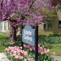 Scholte House Museum Gardens outside