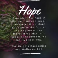 The Heights Counseling And Wellness, Llc inside