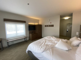 Holiday Inn Express Suites Binghamton University-vestal, An Ihg inside