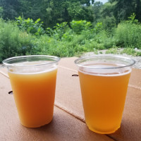 Cold Harbor Brewing Llc outside