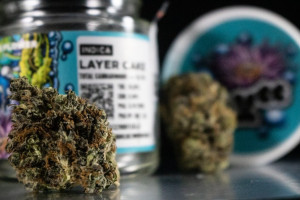 Lytt Pacifica Recreational Medical Cannabis On The Coast food