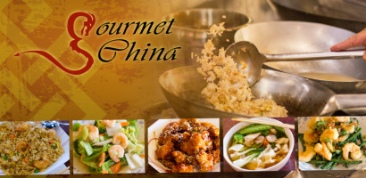 Gourmet China food