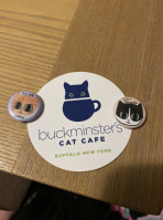 Buckminster's Cat Cafe inside