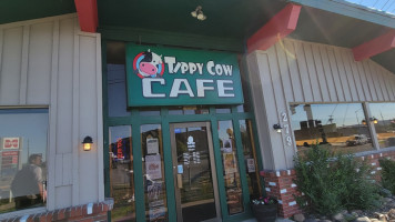 Tippy Cow Cafe food