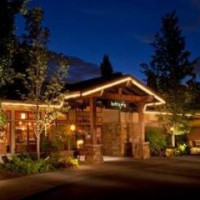 Barking Frog food