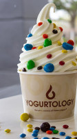 Yogurtology food