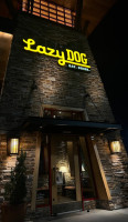 Lazy Dog Restaurant Bar food