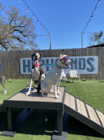 Hophounds Brew Pub Dog Park inside