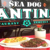 Sea Dog Cantina Gulfport food