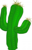 Cactus Jack's Ii outside