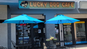 Lucky Dog Cafe inside