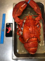 Lotsa Lobster Seafood Market menu