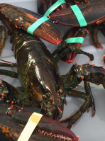 Turner's Lobster's food