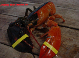 Atlantic Edge Lobster outside