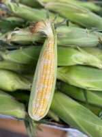 Davison Farmer’s Market food