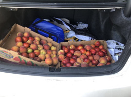 Pomeroy Peaches, Cherry, Apricots Farm Pick Up $2.50) food