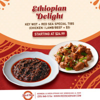 Red Sea Ethiopian Mediterranean food