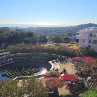 Garden Tea At The Getty Center food