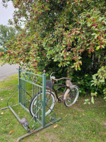 Schoolhouse Wines outside