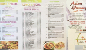 Asian Yummy menu