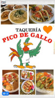 Taqueria Pico De Gallo food