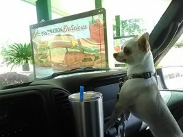 Sonic Drive-in food