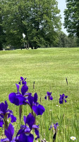 Michaywé Pines Golf Course inside