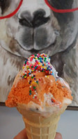 Llama Ice Cream Port Chester, Ny food