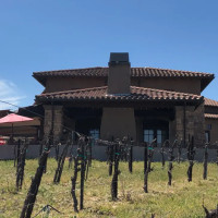 Monte De Oro Winery inside