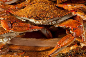 Blue Crabs Unlimited outside